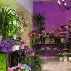 Boutique Au sourire des fleurs